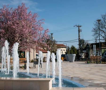 Thermal Apartman Tiszafuered Extérieur photo